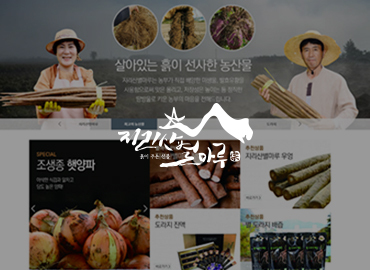 순천광양여수쇼핑몰제작업체 한국온라인창업컨설팅 지리산별마루 쇼핑몰제작후기