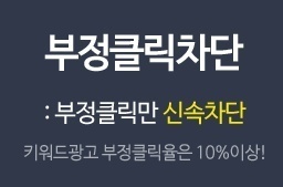 부정클릭IP 차단(한국온라인창업컨설팅 온라인 광고)
