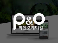 전남 홈페이지 제작 - 피앤오 케미칼 제작